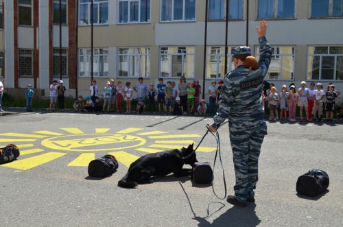 26 июня — Международный день борьбы с наркоманией