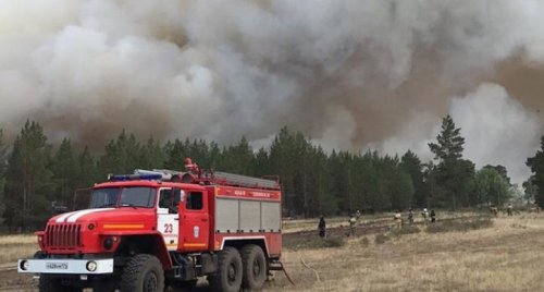 В Челябинской области введен режим ЧС из-за лесных пожаров