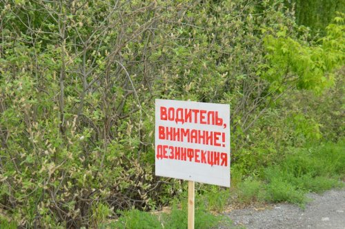 В округе прошли учения по борьбе с птичьим гриппом.
