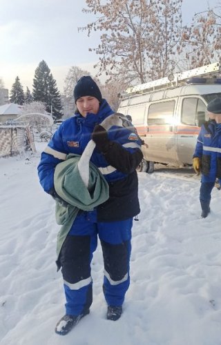 Муниципальные спасатели помогли лебедёнку, который попал в беду.