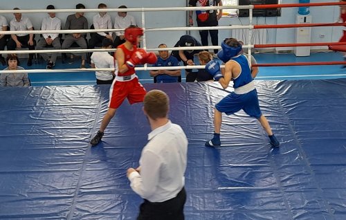 Юные озерские боксёры на минувшей неделе успешно выступили на турнирах Челябинской области.