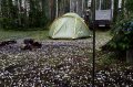  Первый град зафиксировали в Челябинской области.