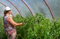 Магнитогорские школьники изобрели теплицу, которой управляет нейросеть.