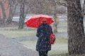 Через пять лет зимы на Южном Урале станут короче и теплее.
