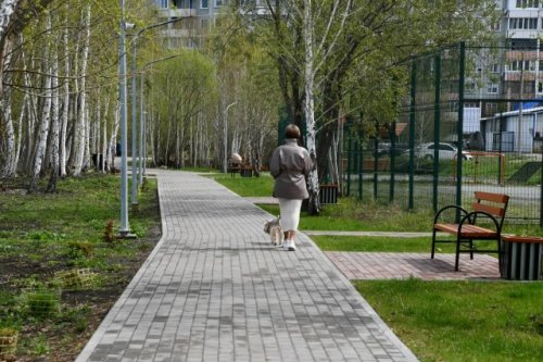 Озерчане выбрали проекты благоустройства на 2027 год