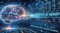 Мозг человека хранит информацию 20 тысяч смартфонов.