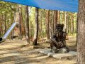 Южноуральские школьники с помощью ИИ создали Хранителя леса.